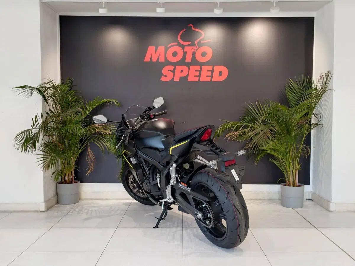 Honda CBR 650 R E-Clutch (2024 - 26) (6)