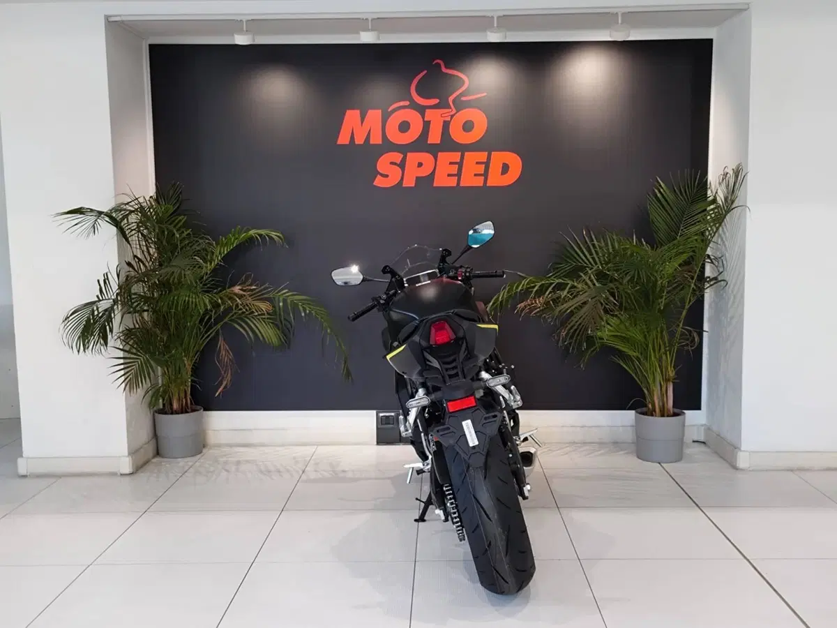 Honda CBR 650 R E-Clutch (2024 - 26) (7)