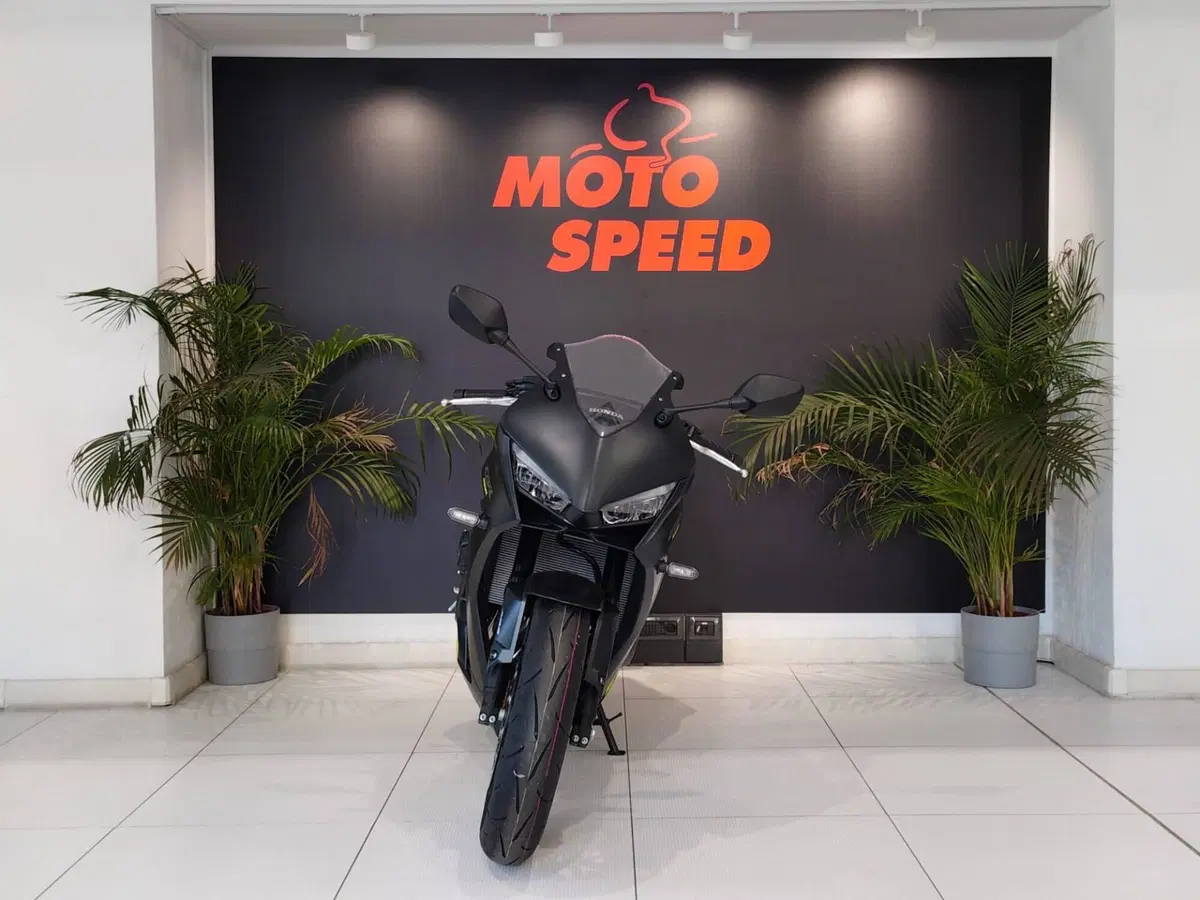 Honda CBR 650 R E-Clutch (2024 - 26) (3)