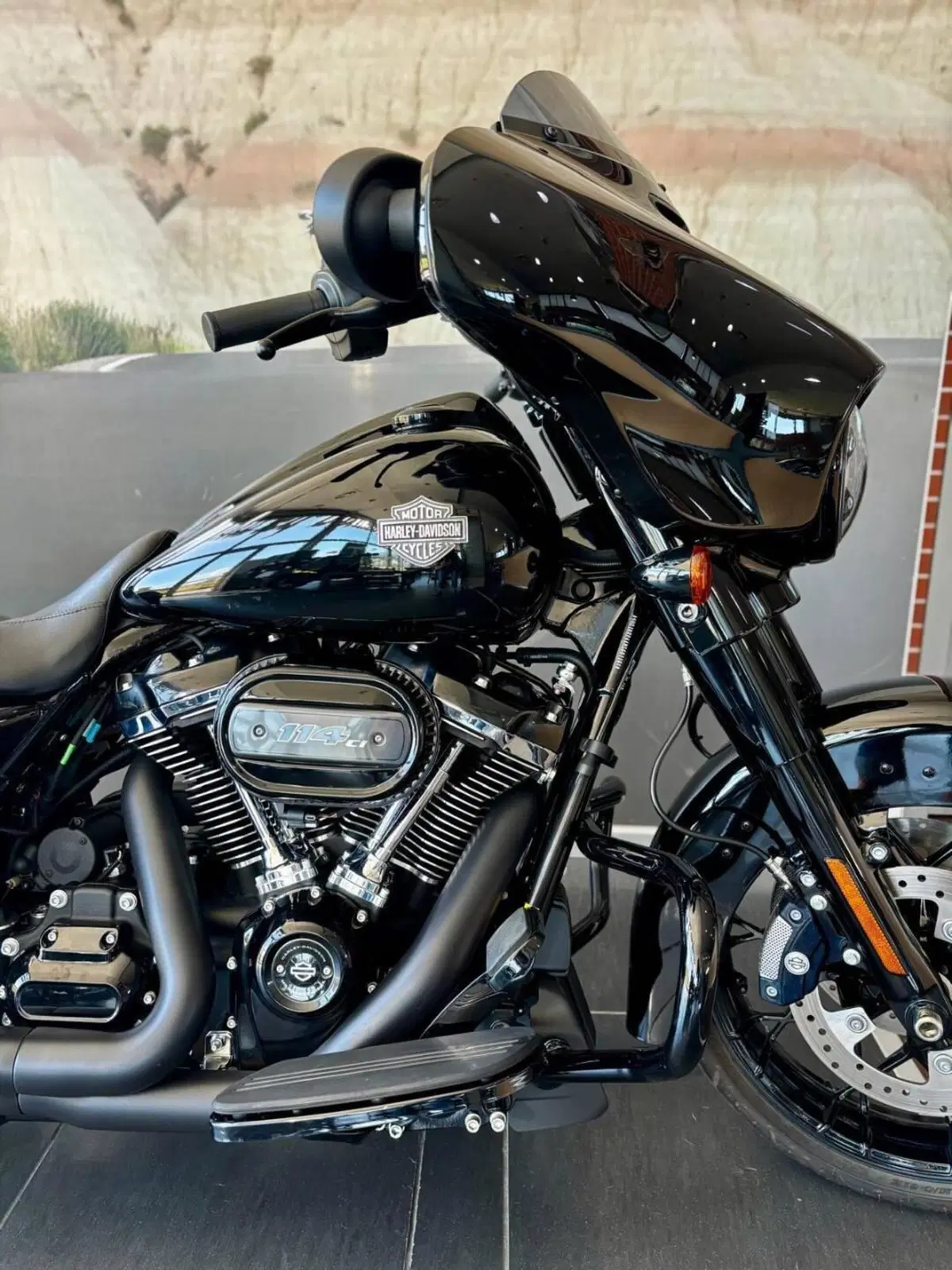 Harley-Davidson Street Glide Special (2021 - 23) (3)