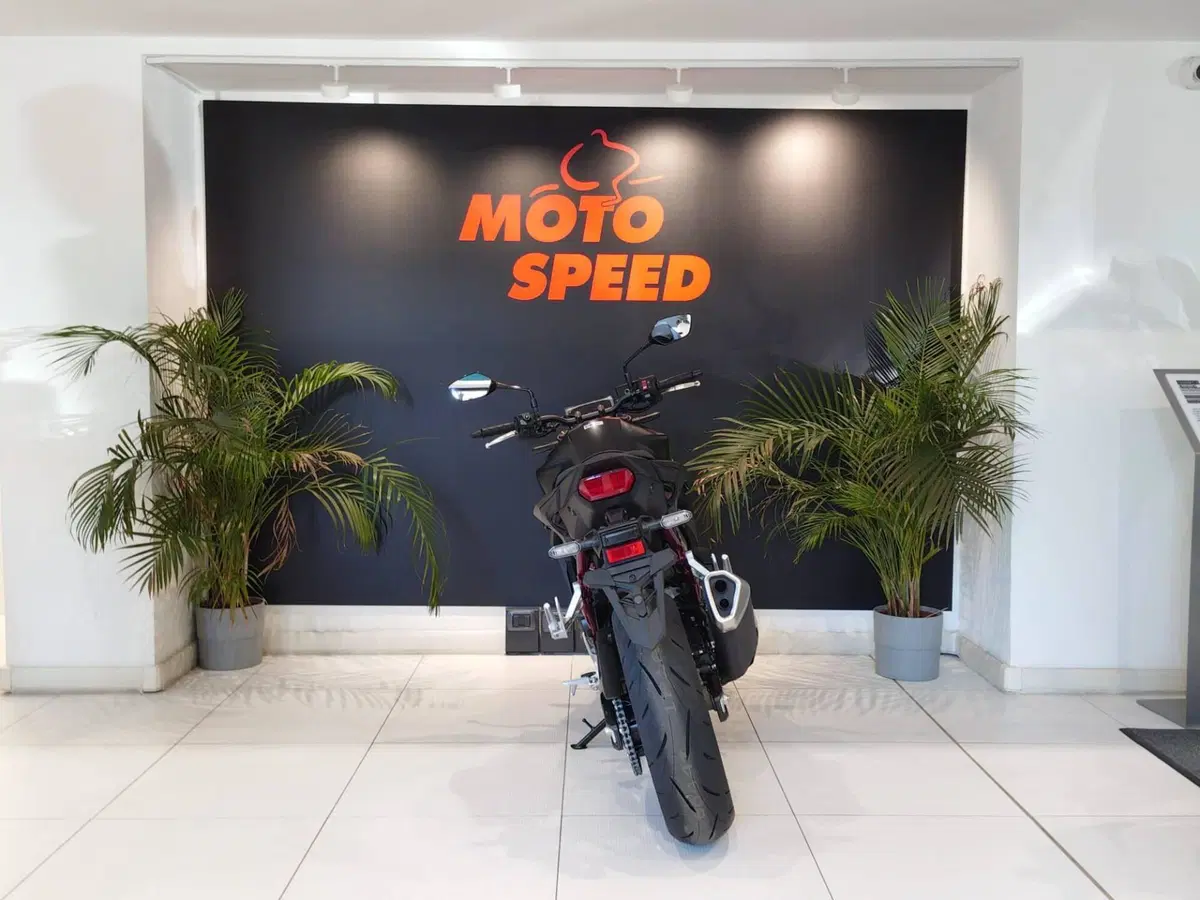 Honda CB 750 Hornet (2026) (7)