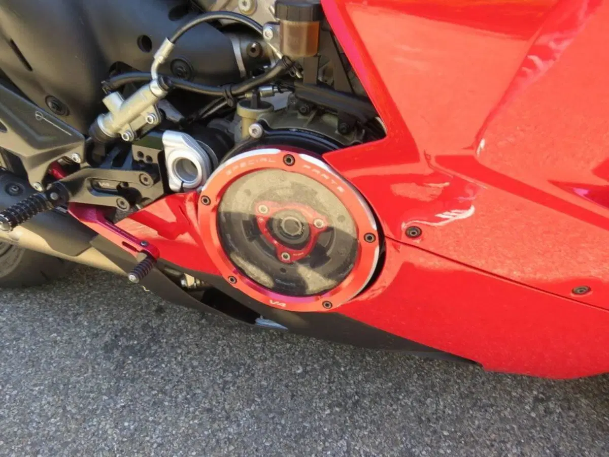 Ducati Panigale V4 S 1100 (2018 - 19) (11)