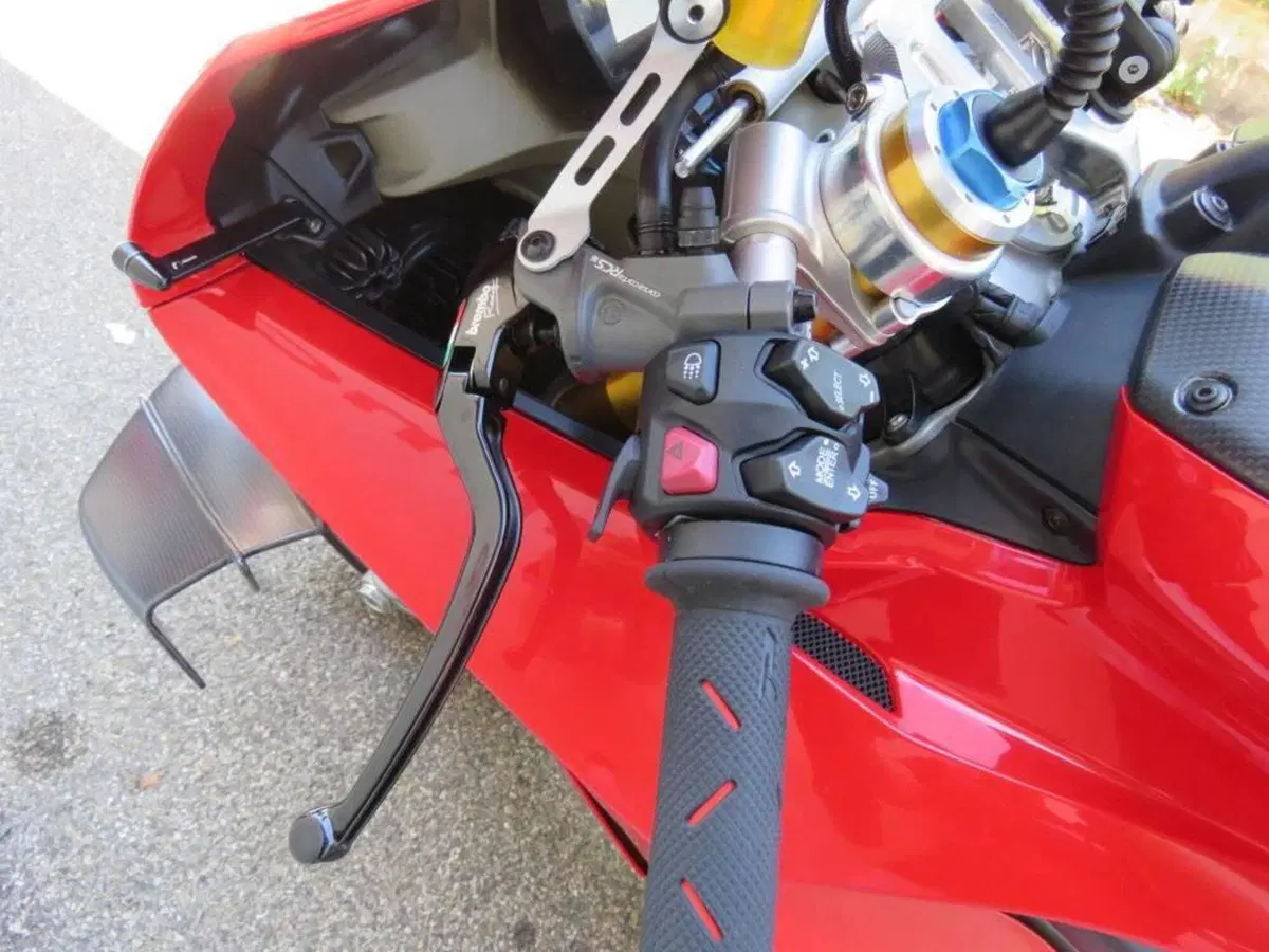 Ducati Panigale V4 S 1100 (2018 - 19) (19)