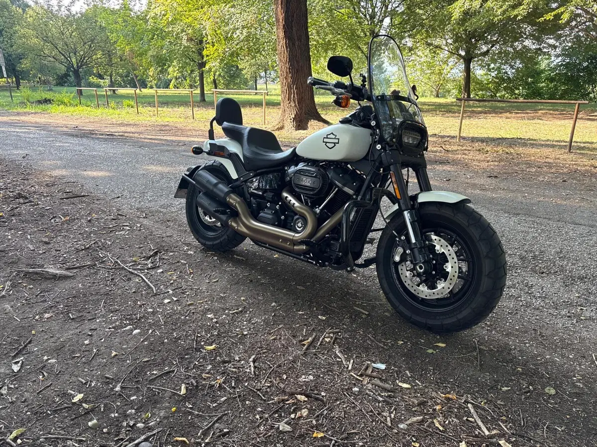 Harley-Davidson 114 Fat Bob (2018 - 20) - FXFBS (2)