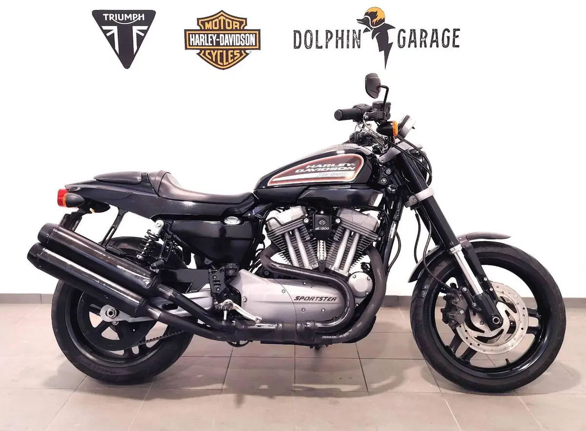 Harley-Davidson 1200 XR (2009 - 12) (2)