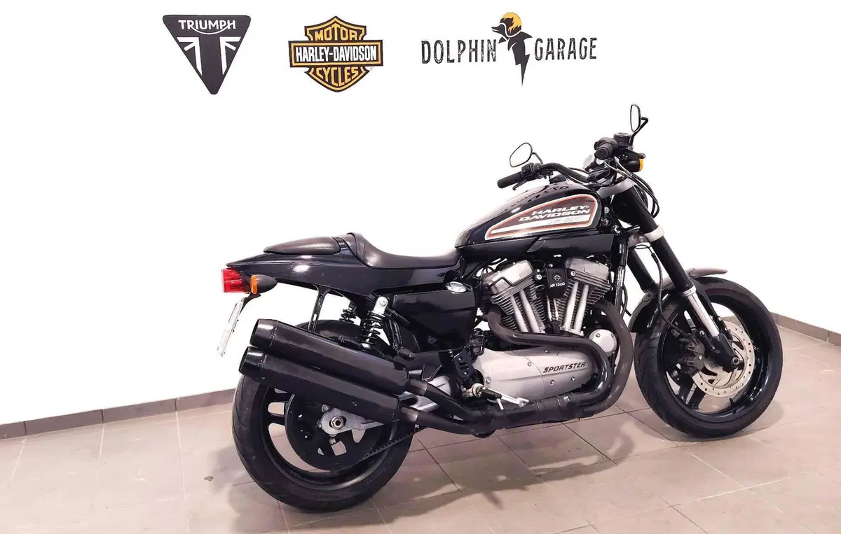 Harley-Davidson 1200 XR (2009 - 12) (3)