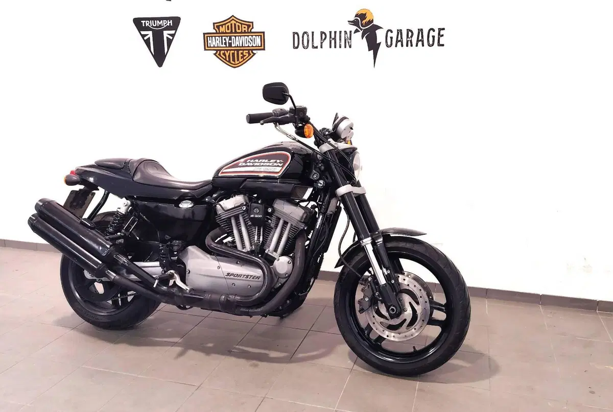 Harley-Davidson 1200 XR (2009 - 12) (4)