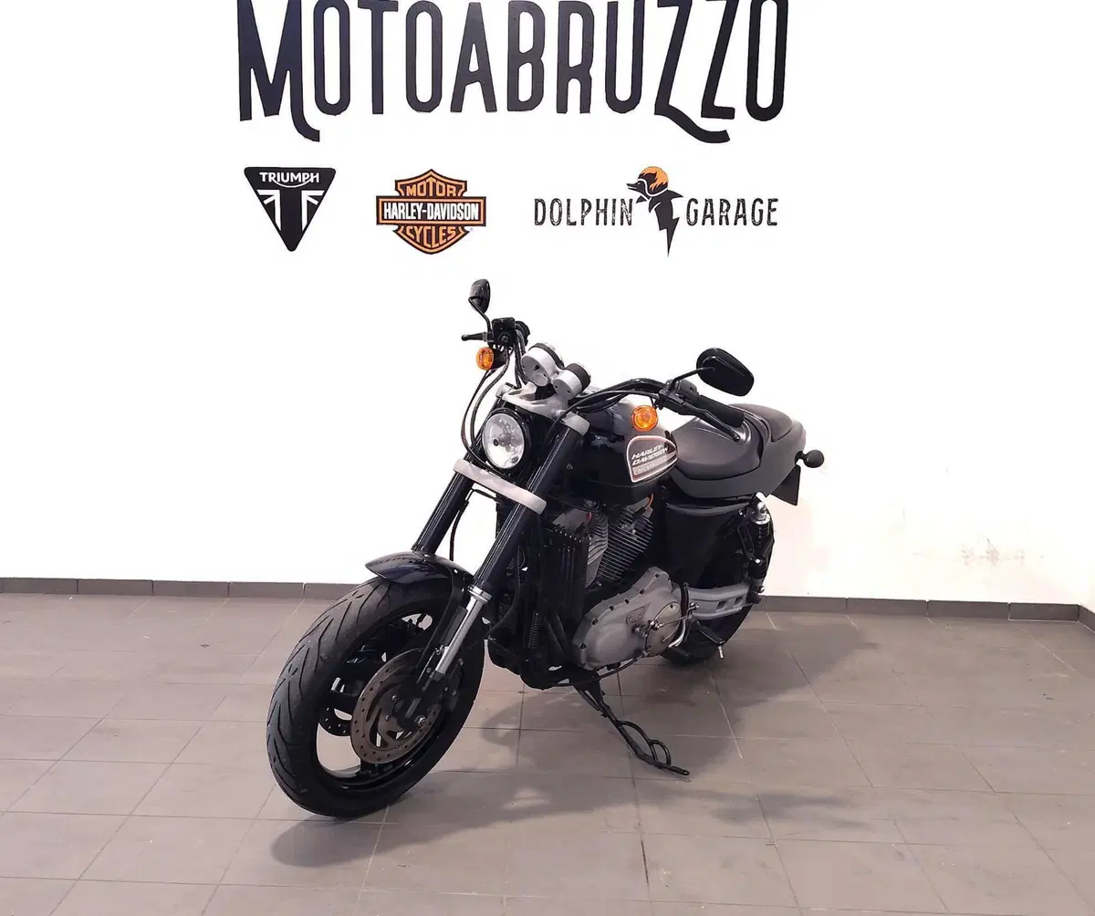 Harley-Davidson 1200 XR (2009 - 12) (6)