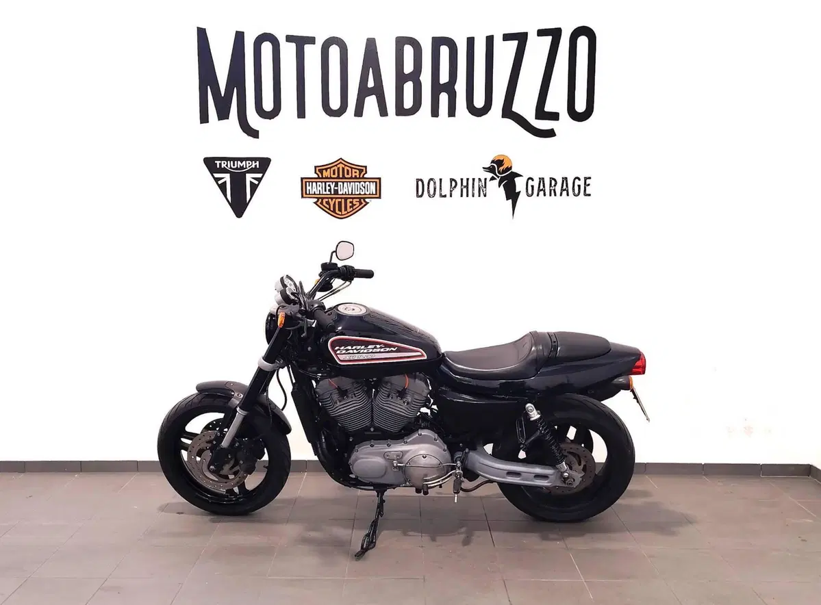 Harley-Davidson 1200 XR (2009 - 12) (7)
