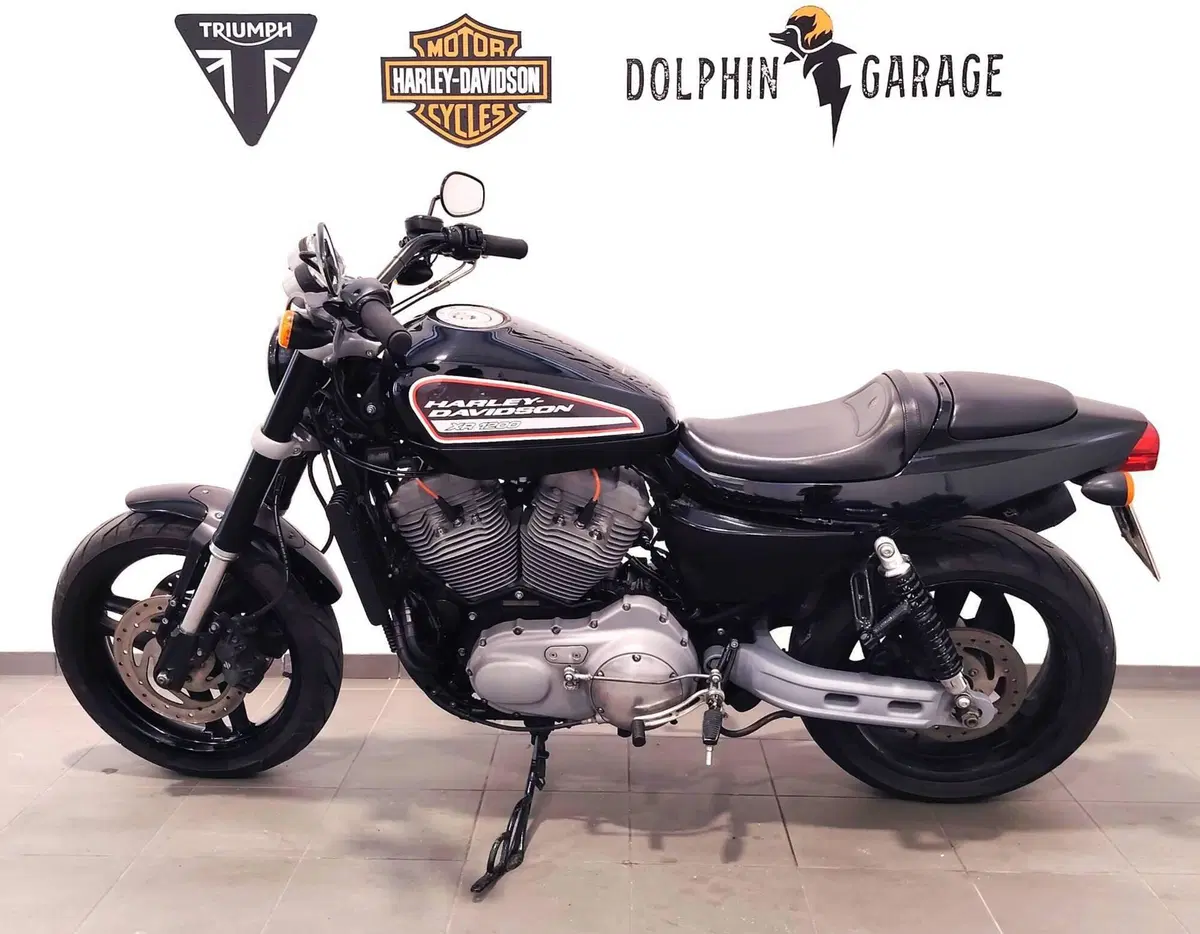 Harley-Davidson 1200 XR (2009 - 12) (8)