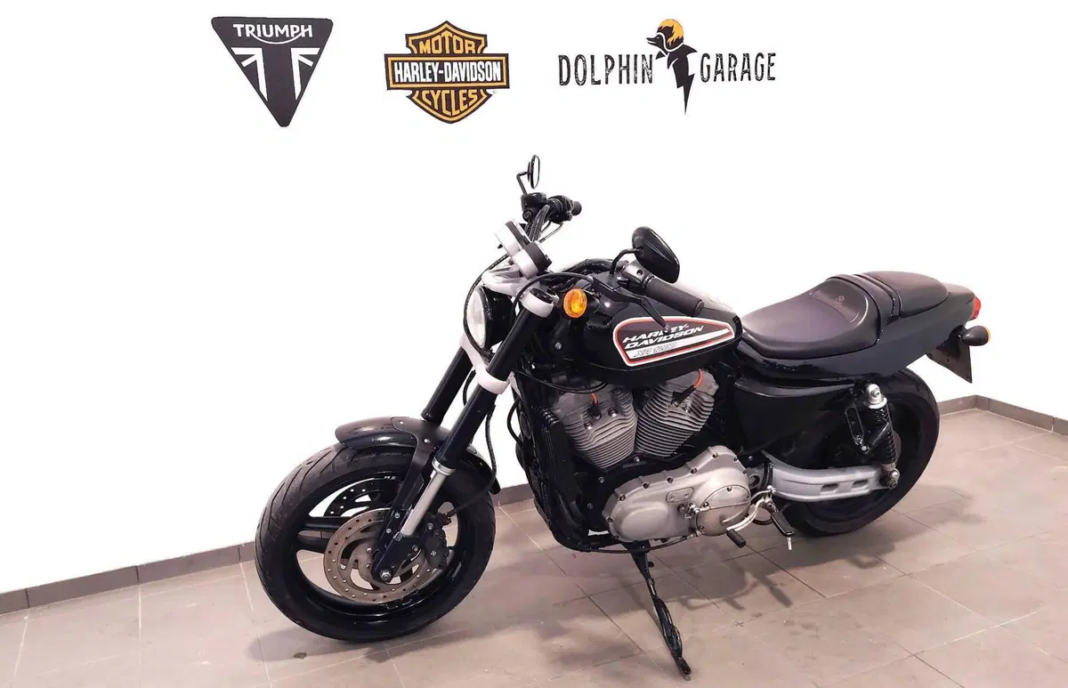 Harley-Davidson 1200 XR (2009 - 12) (9)