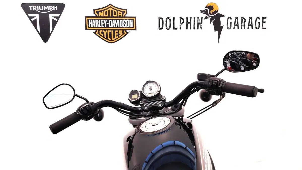 Harley-Davidson 1200 XR (2009 - 12) (13)