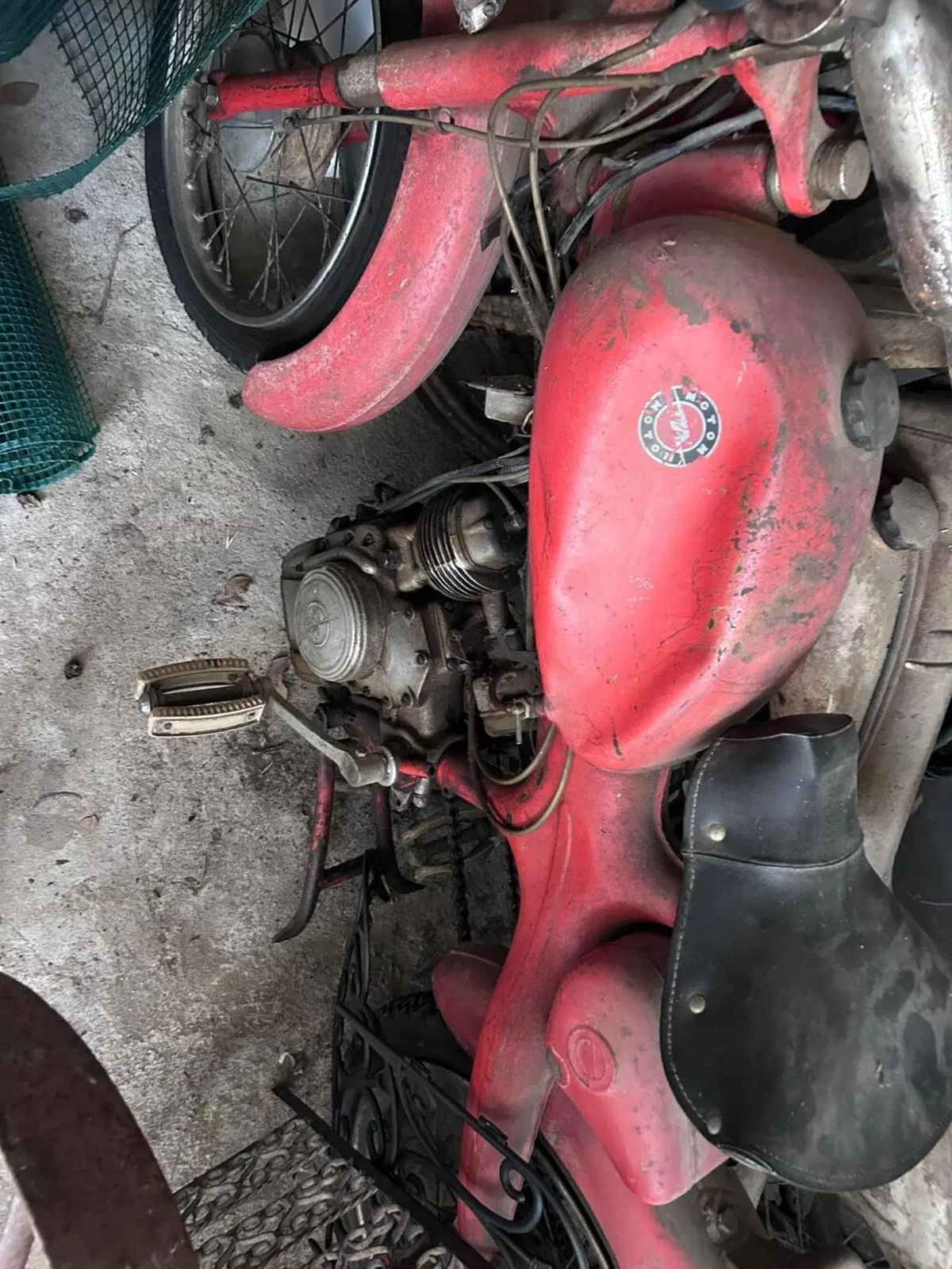 Morini Morini