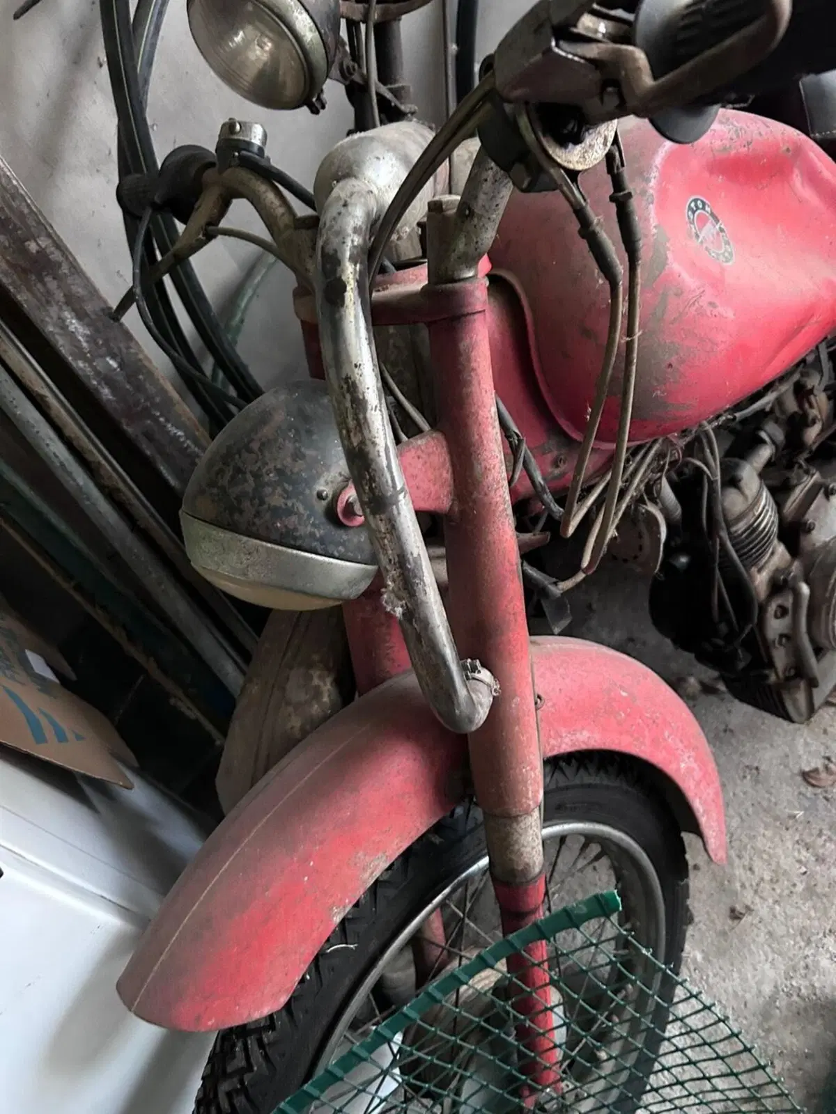 Morini Morini (3)