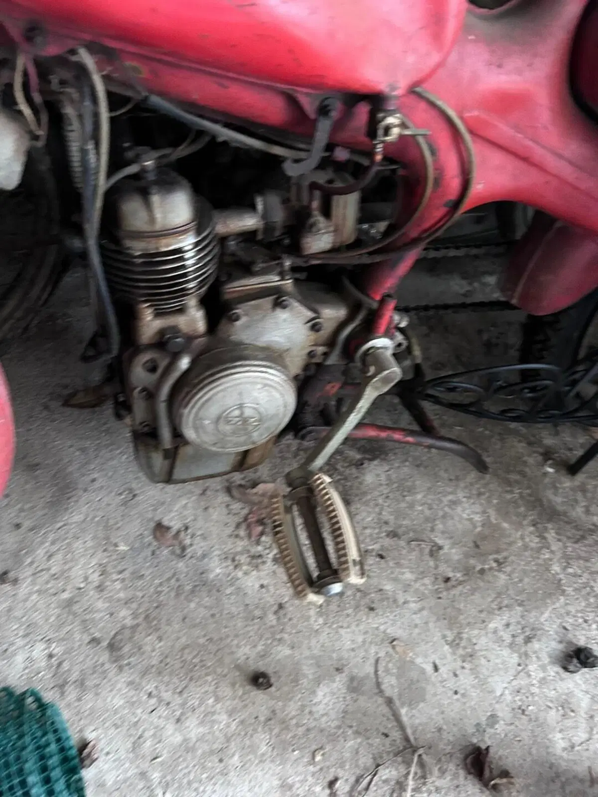 Morini Morini (5)