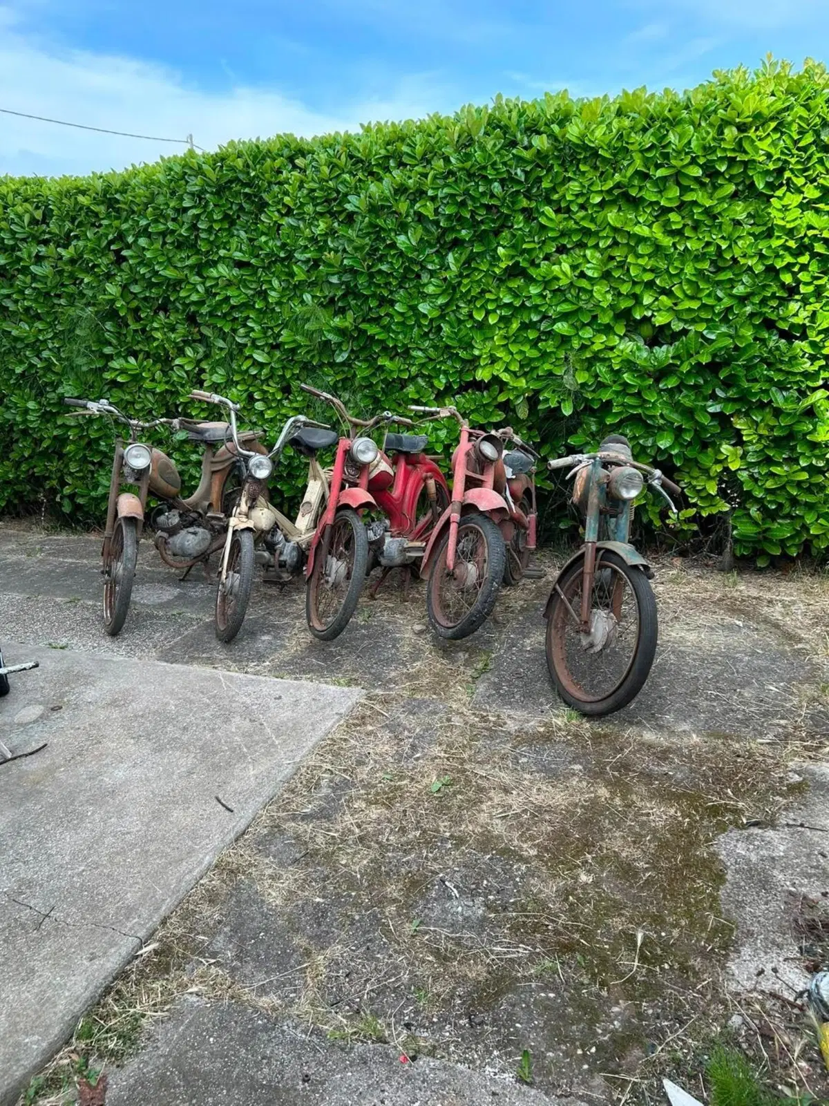 Garelli Turismo 48 cc