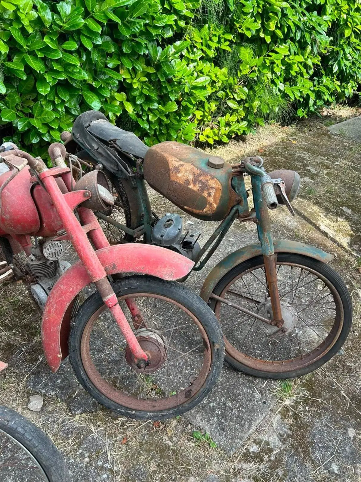 Garelli Turismo 48 cc (2)
