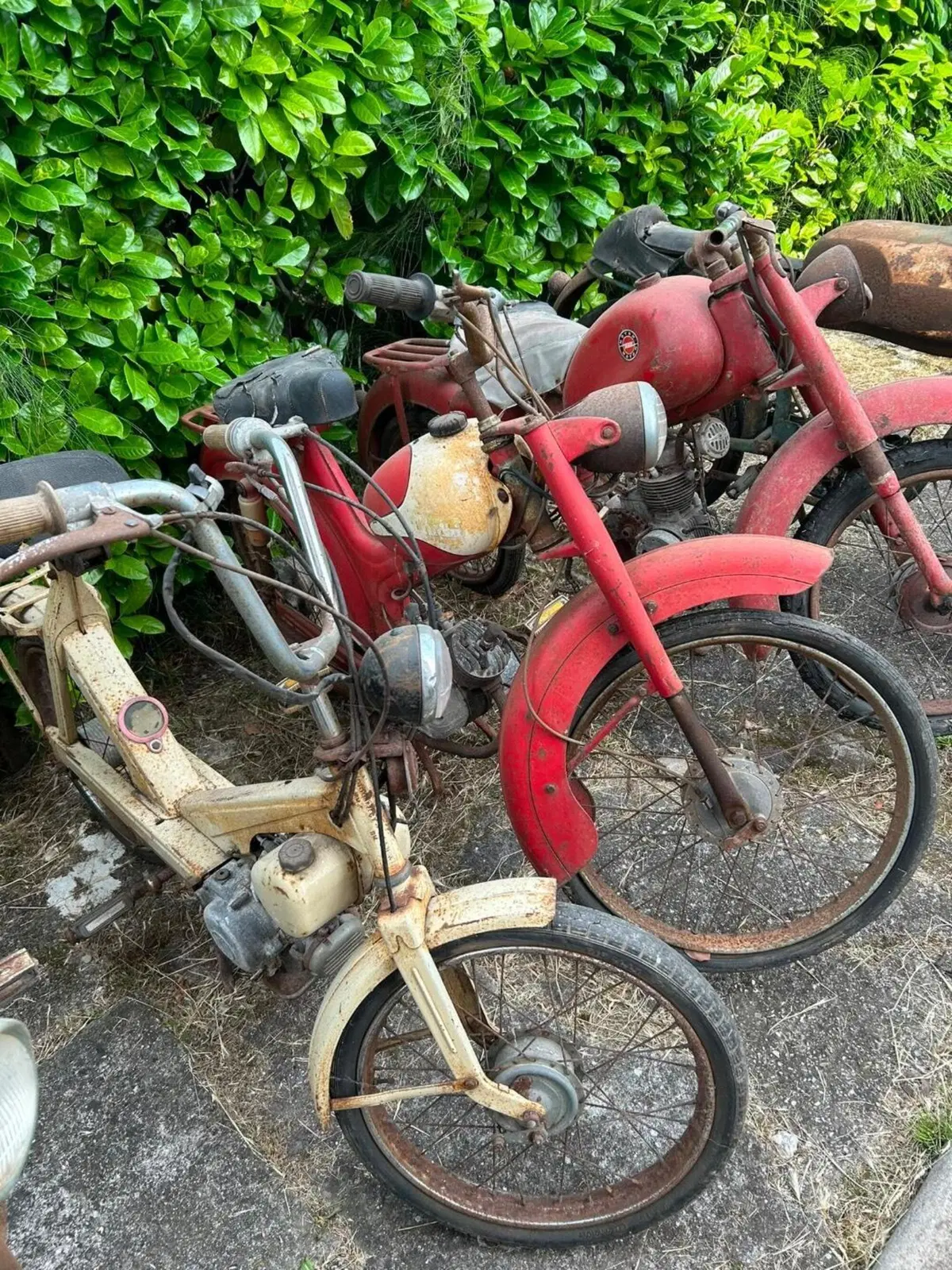 Garelli Turismo 48 cc (4)