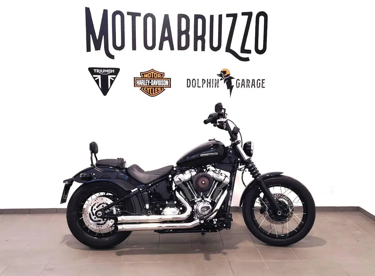Harley-Davidson Street Bob 117 (2025 - 26)