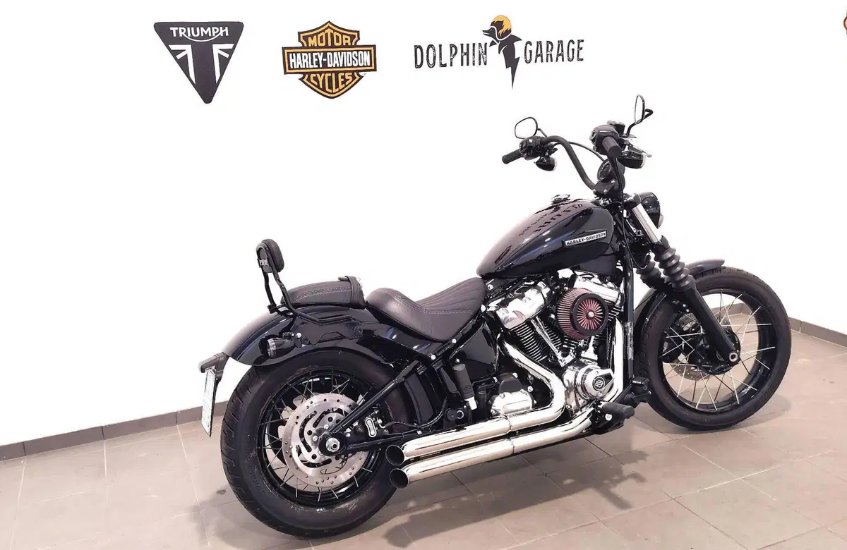 Harley-Davidson Street Bob 117 (2025 - 26) (3)