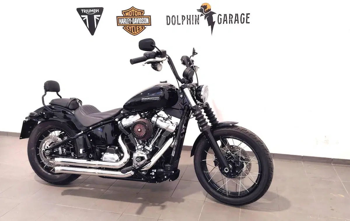 Harley-Davidson Street Bob 117 (2025 - 26) (4)