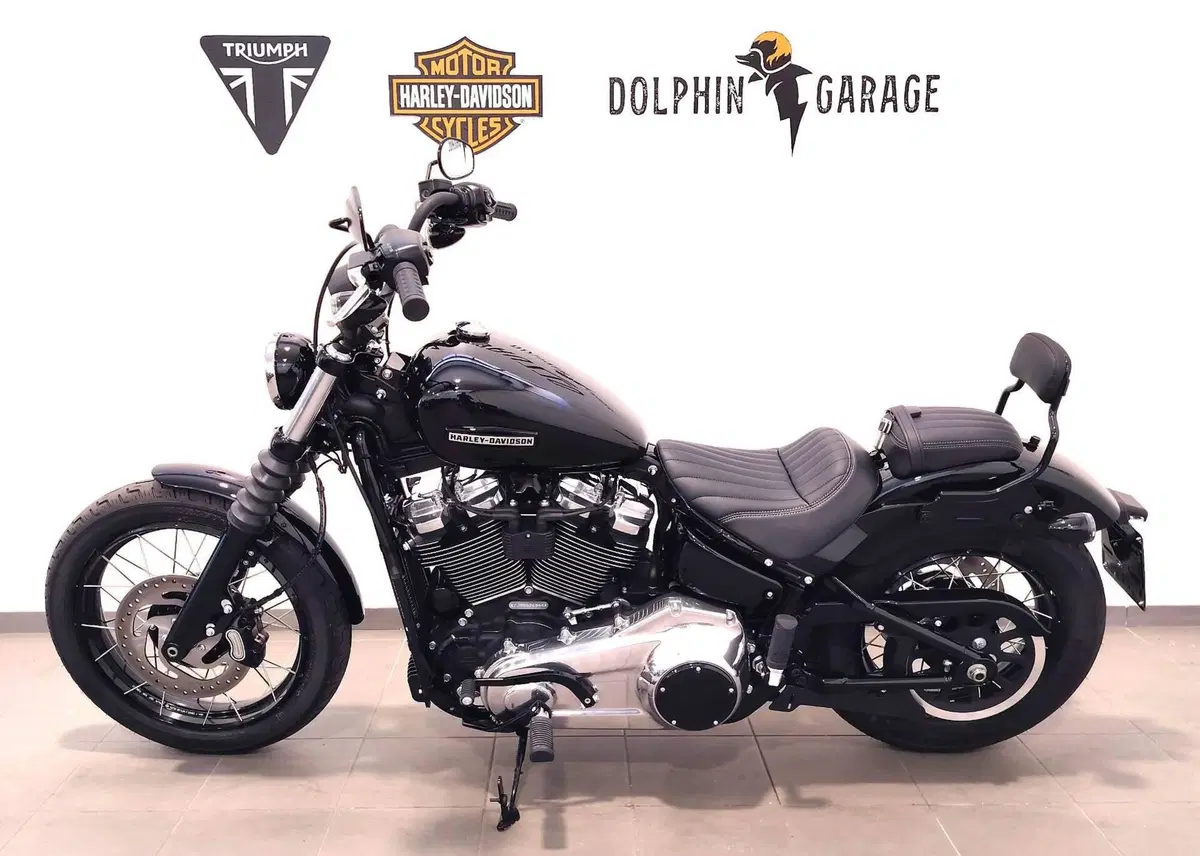 Harley-Davidson Street Bob 117 (2025 - 26) (8)