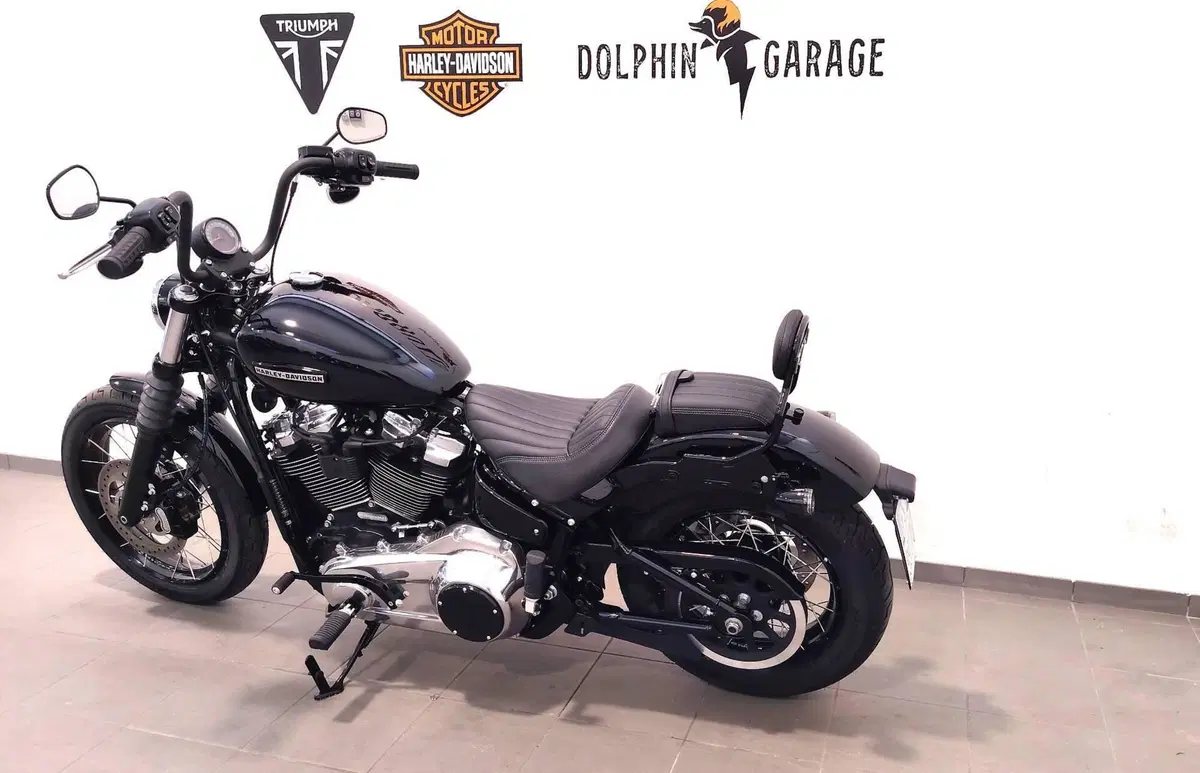 Harley-Davidson Street Bob 117 (2025 - 26) (10)