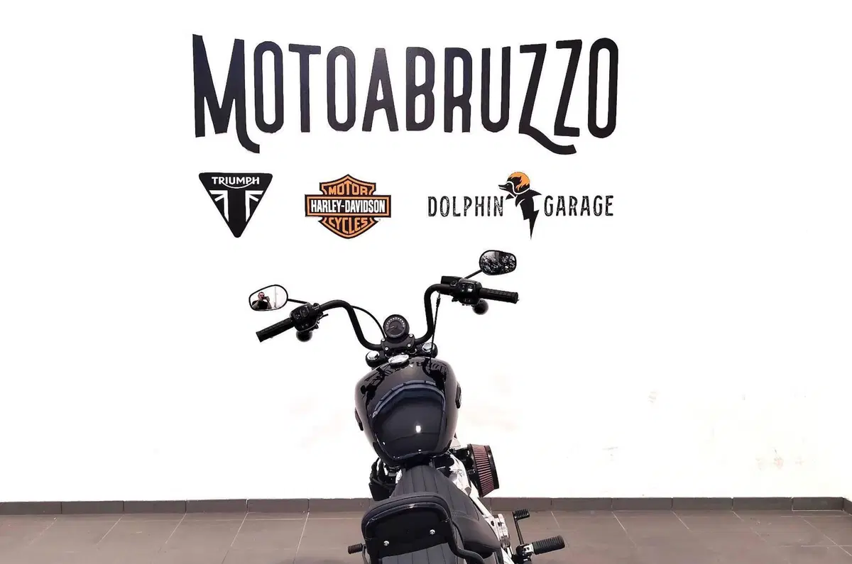 Harley-Davidson Street Bob 117 (2025 - 26) (12)