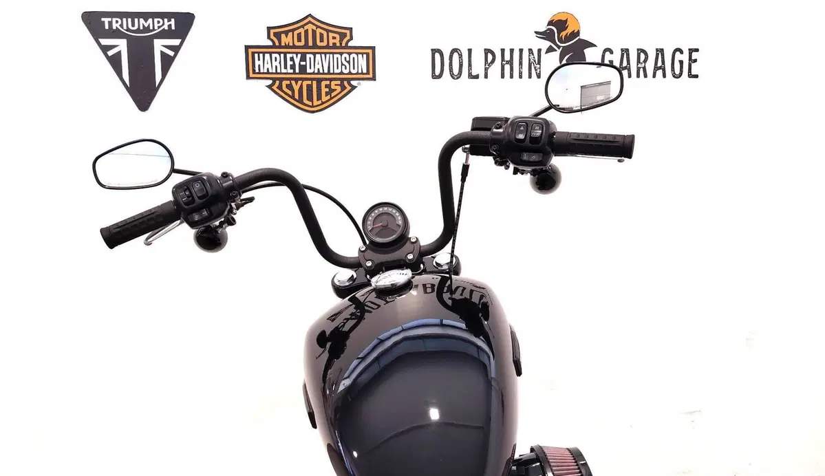 Harley-Davidson Street Bob 117 (2025 - 26) (13)