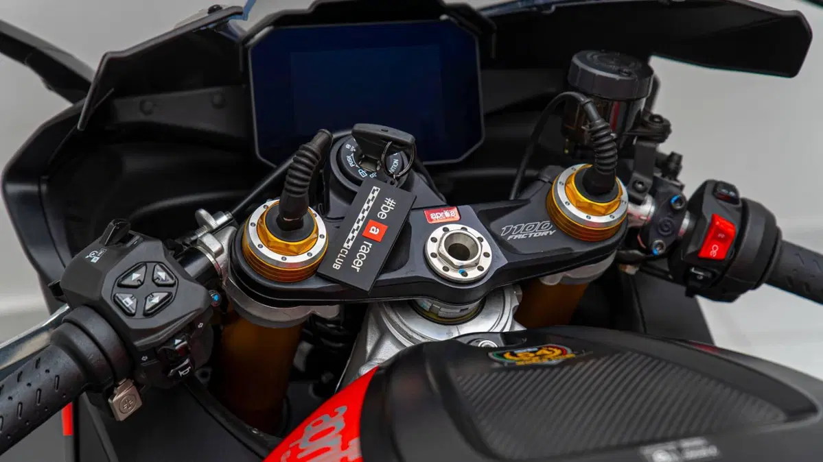 Aprilia RSV4 1100 Factory (2021 - 24) (18)