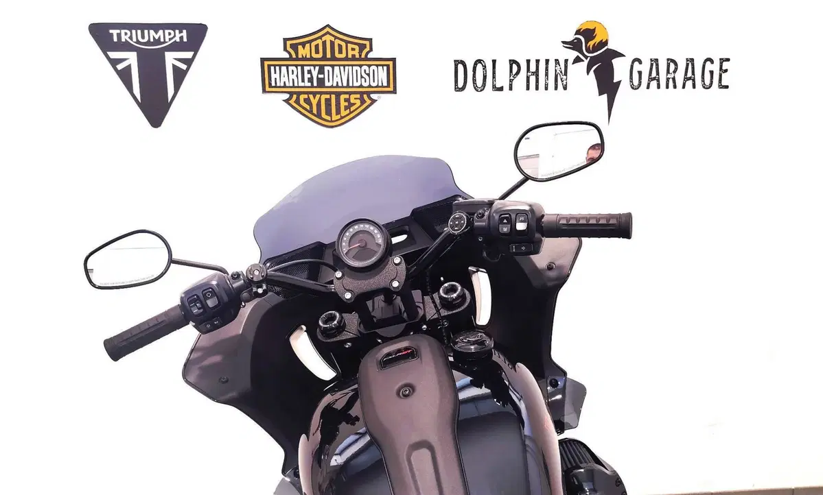 Harley-Davidson Low Rider ST (2025 - 26) (13)