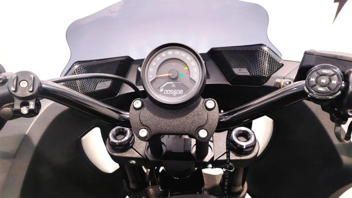 Harley-Davidson Low Rider ST (2025 - 26) (14)