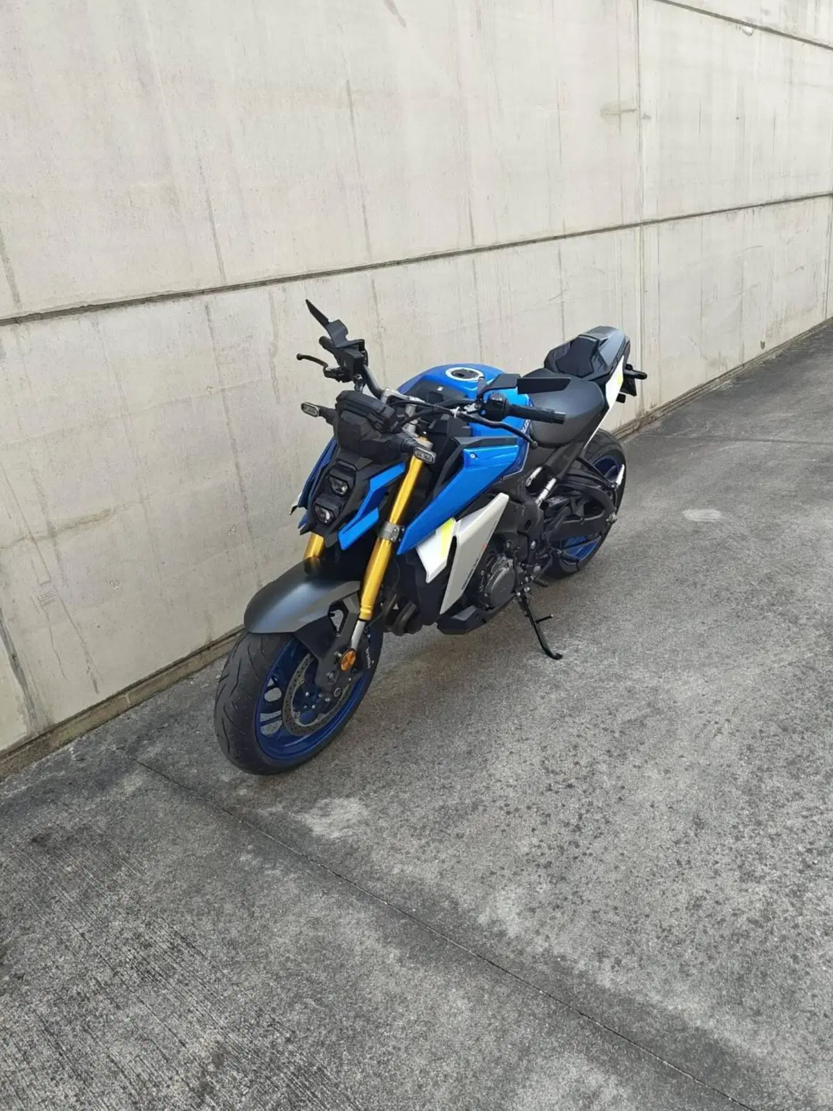 Suzuki GSX-S1000 (2021 - 25) (5)