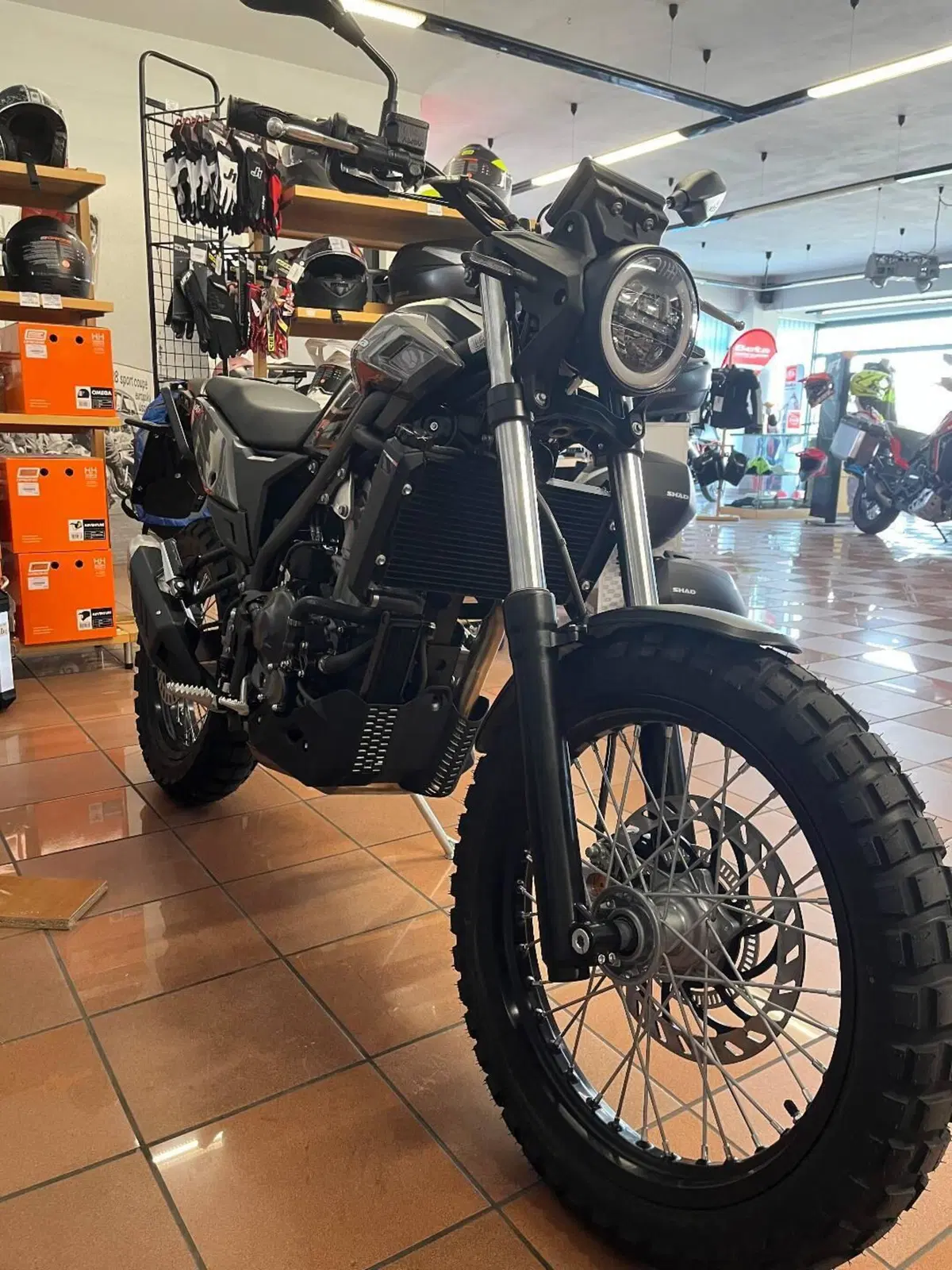 Betamotor Alp X (2024 - 26) (2)