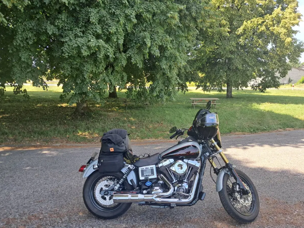 Harley-Davidson 1690 Low Rider (2014 - 17) - FXDL (10)