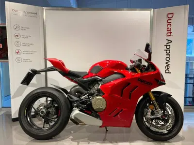 Ducati Panigale V4 S (2022 - 24) usata