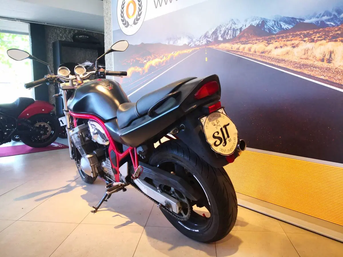 Suzuki GSF 600 Bandit (1995 - 99) (8)