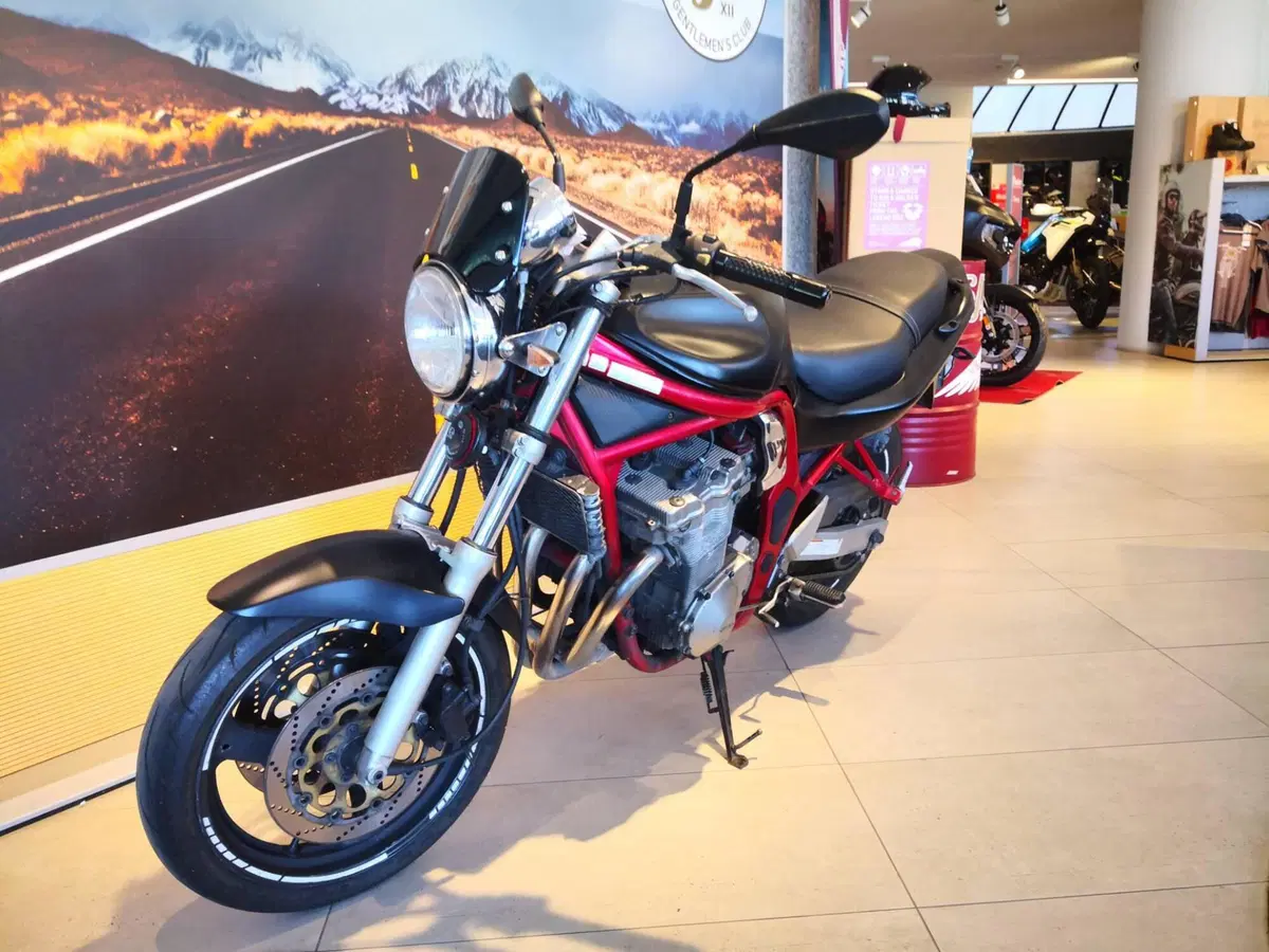 Suzuki GSF 600 Bandit (1995 - 99) (11)