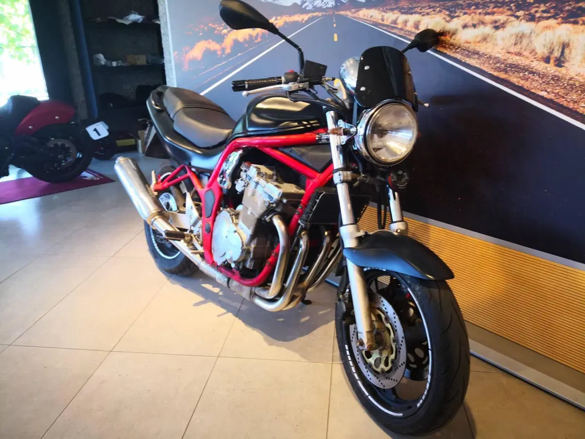 Suzuki GSF 600 Bandit (1995 - 99) (3)