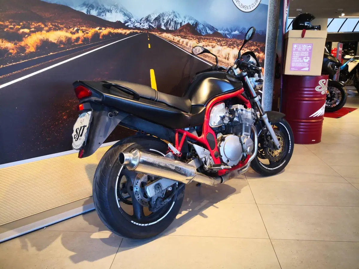 Suzuki GSF 600 Bandit (1995 - 99) (6)