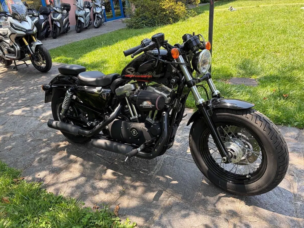 Harley-Davidson 1200 Forty-Eight (2010 - 15) (2)
