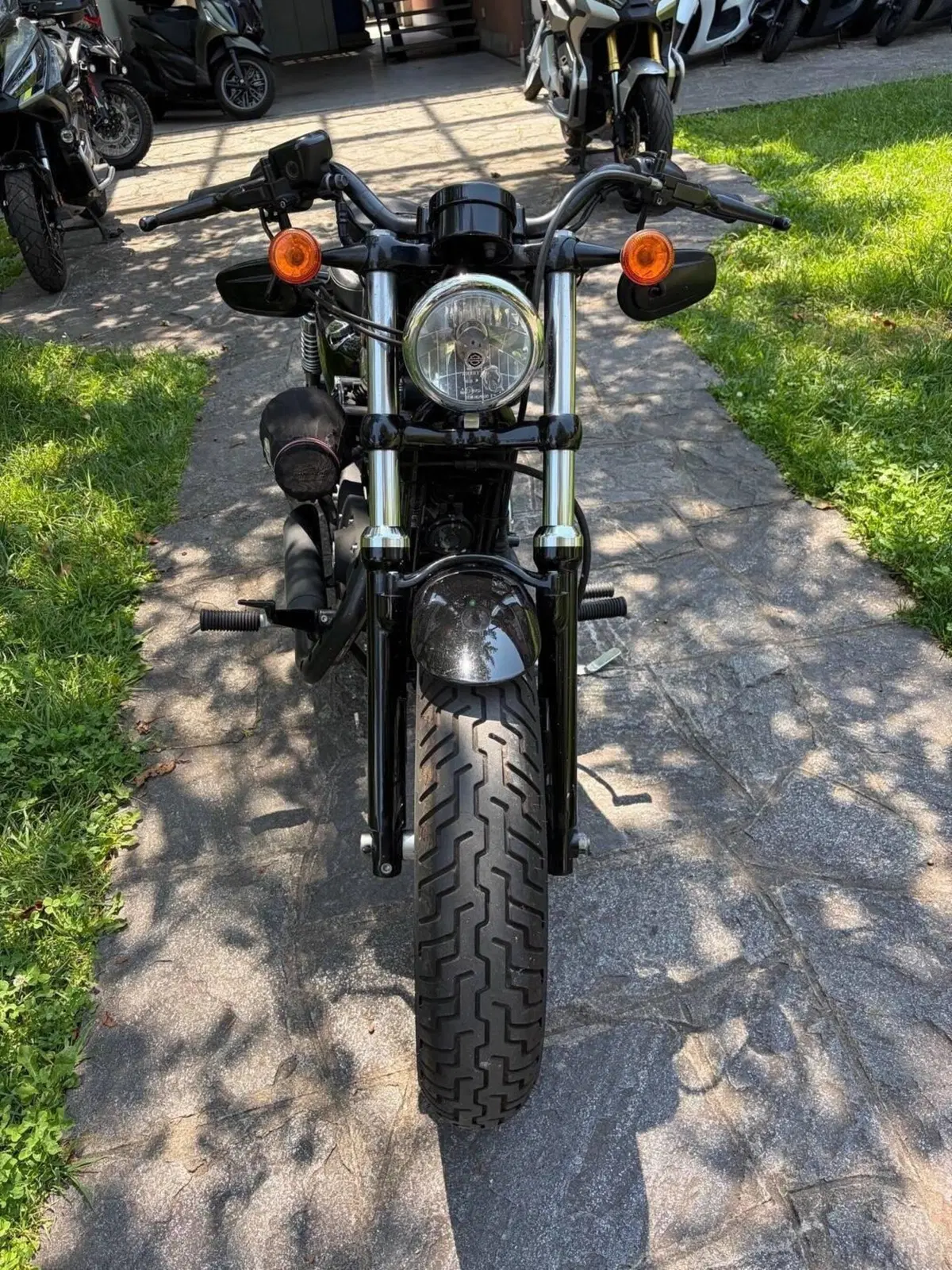 Harley-Davidson 1200 Forty-Eight (2010 - 15) (3)