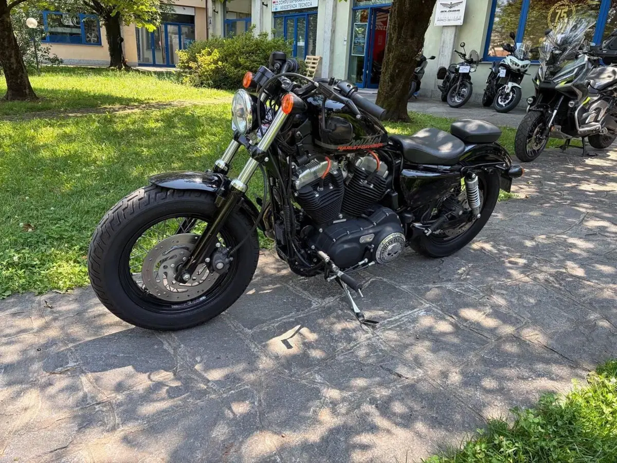 Harley-Davidson 1200 Forty-Eight (2010 - 15) (4)