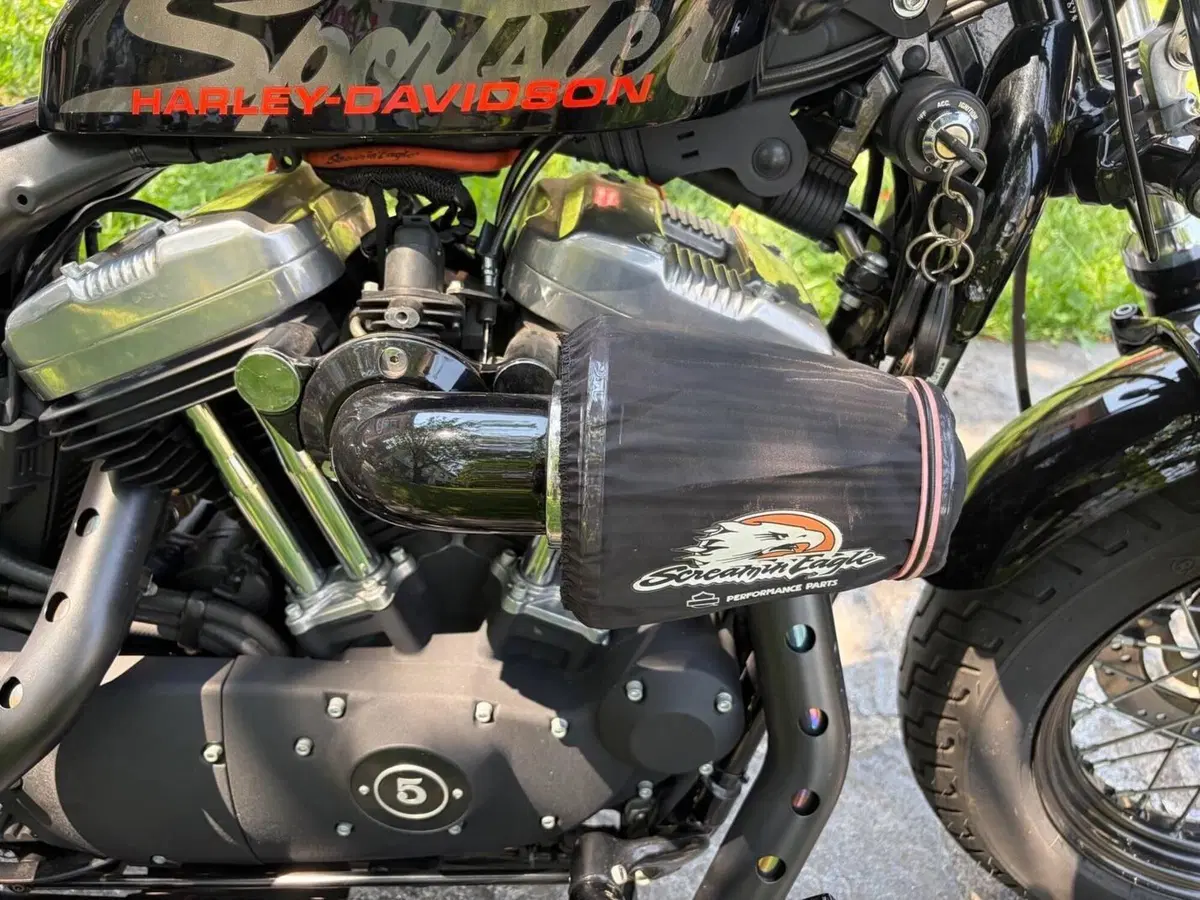 Harley-Davidson 1200 Forty-Eight (2010 - 15) (6)