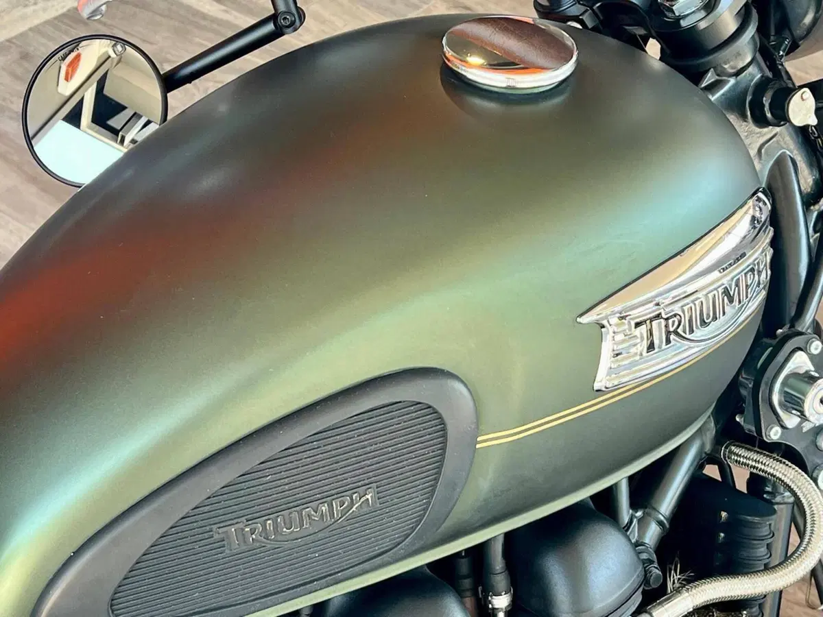 Triumph Scrambler (2006 - 17) (7)
