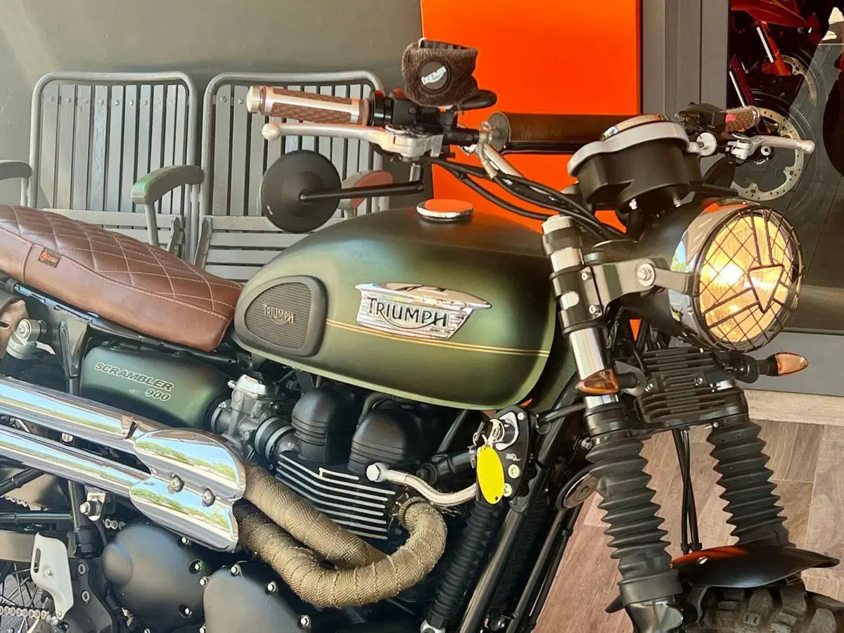 Triumph Scrambler (2006 - 17) (13)