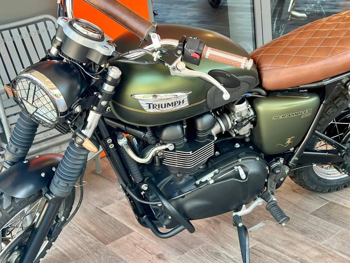 Triumph Scrambler (2006 - 17) (14)