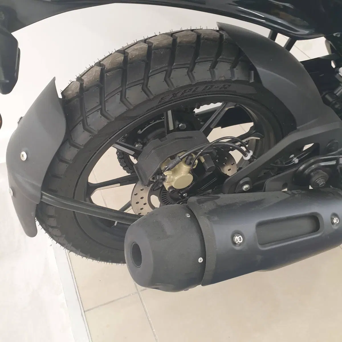 TVS Motor Ronin 250 (2024 - 26) (10)