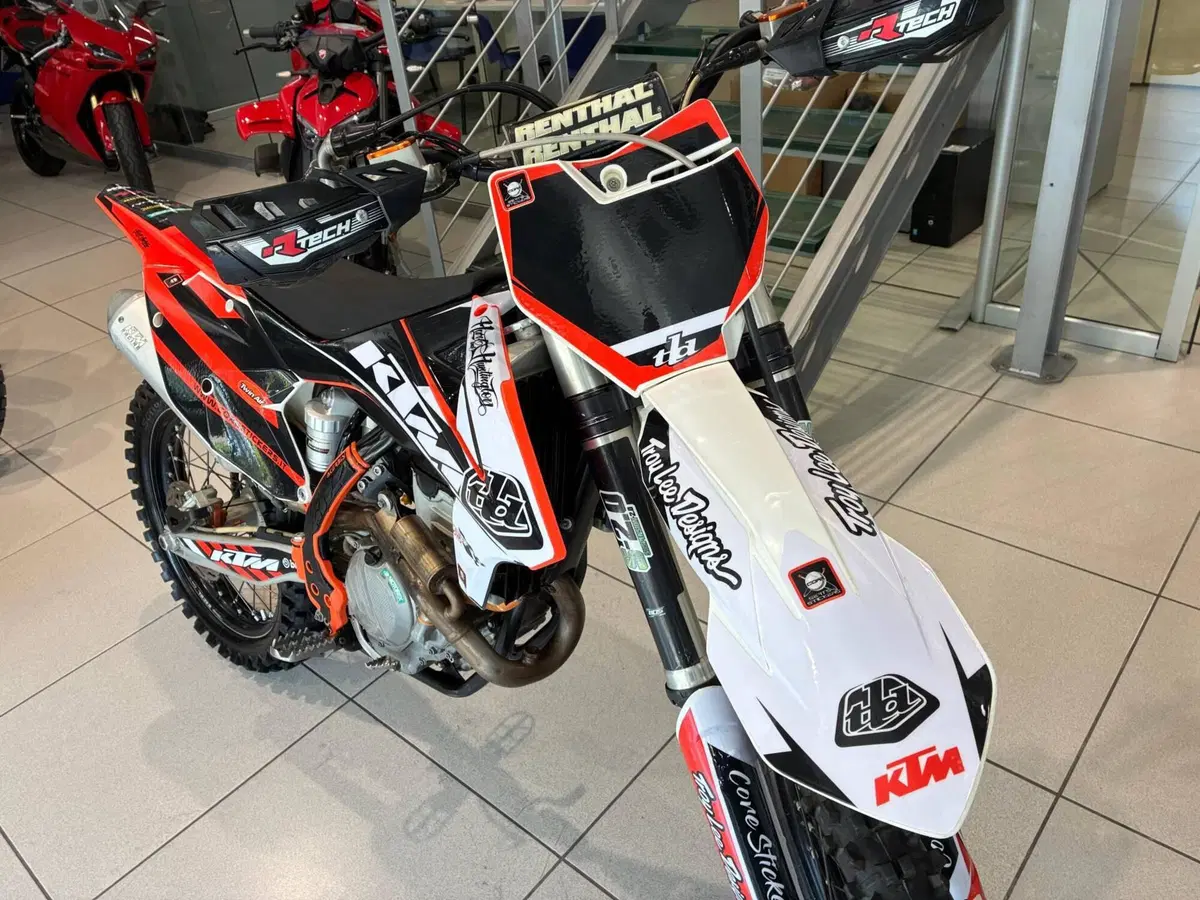 KTM 250 SX-F (2017) (3)