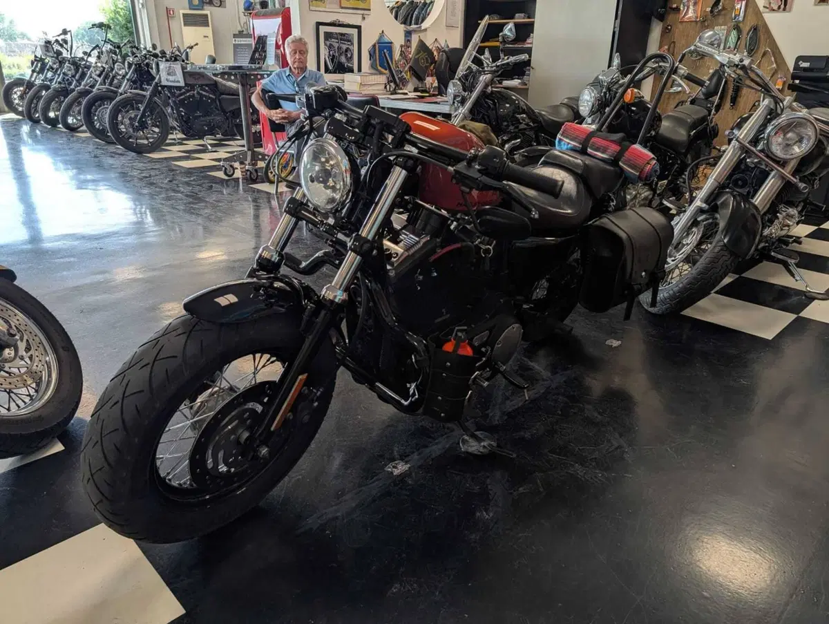 Harley-Davidson 1200 Forty-Eight (2010 - 15) (3)